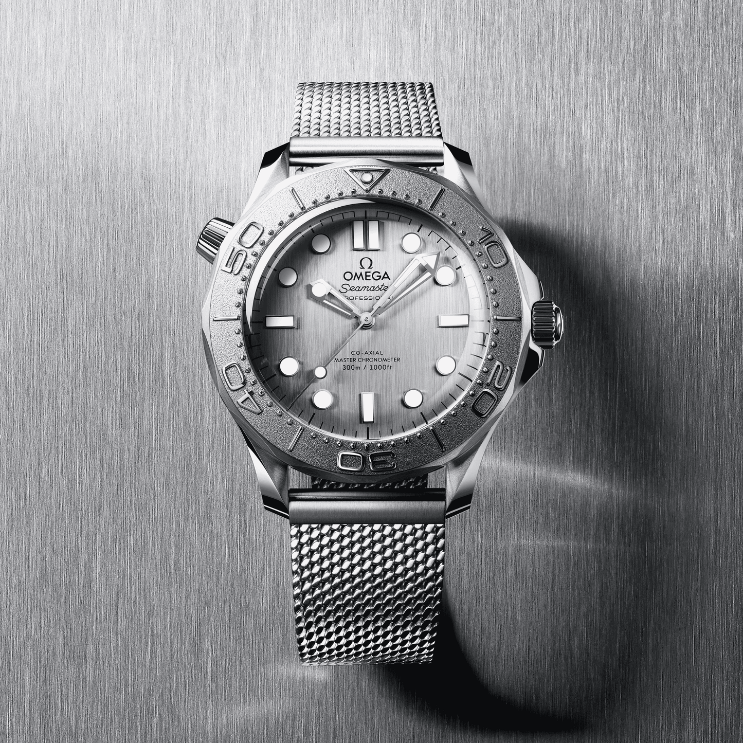 Omega Seamaster Diver 300m 42 mm, steel on steel