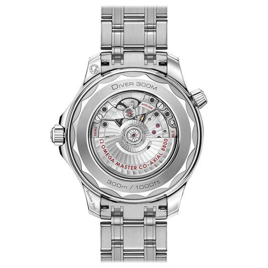 Omega Seamaster Diver 300m 42 mm, steel on steel