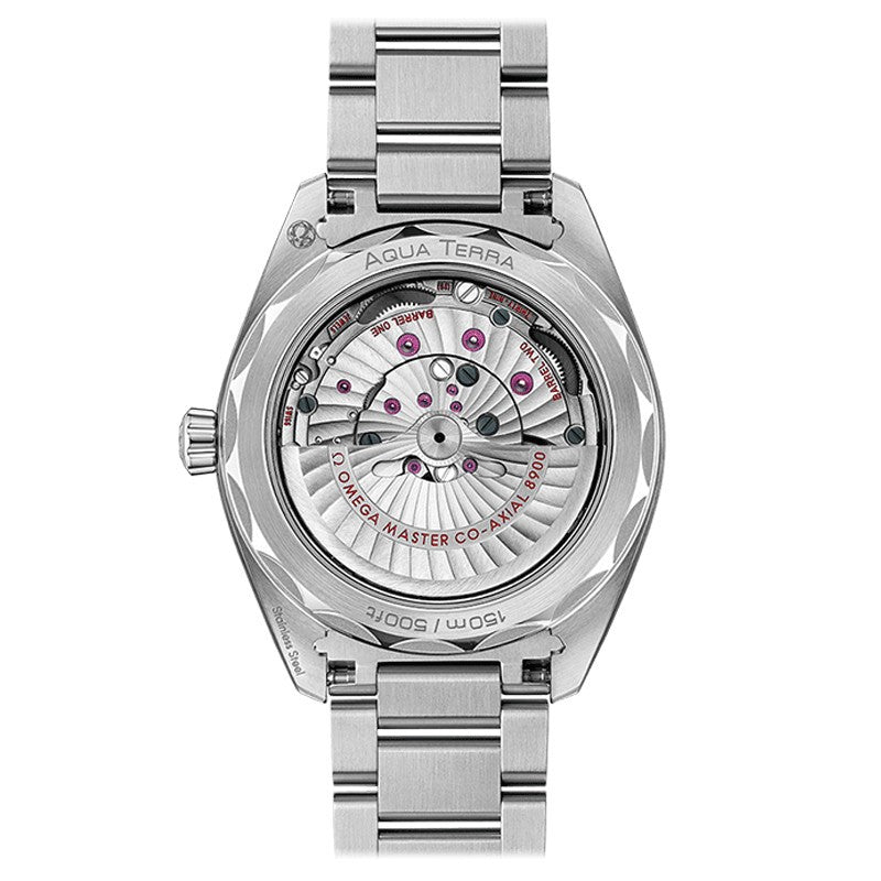 Omega Seamaster Aqua Terra Shades 150m 38 mm, steel on steel