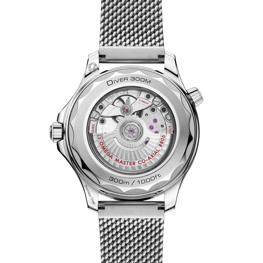 Omega Seamaster Diver 300m 42 mm, steel on steel